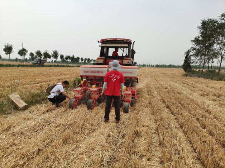 Sowing and fertilization of corn for the NH3 flux experiment setup