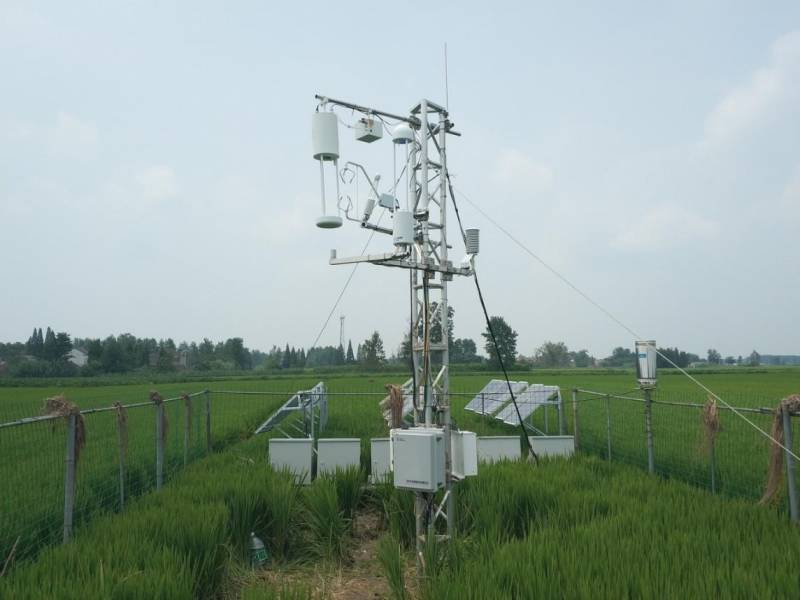 The NH3 flux tower at the Jiangdu experimental site